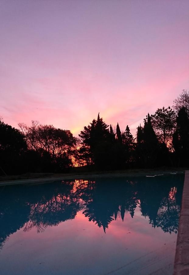 Le Jardin De Lacoste Narbona Zewnętrze zdjęcie