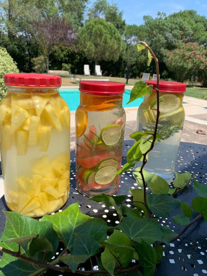 Le Jardin De Lacoste Narbona Zewnętrze zdjęcie