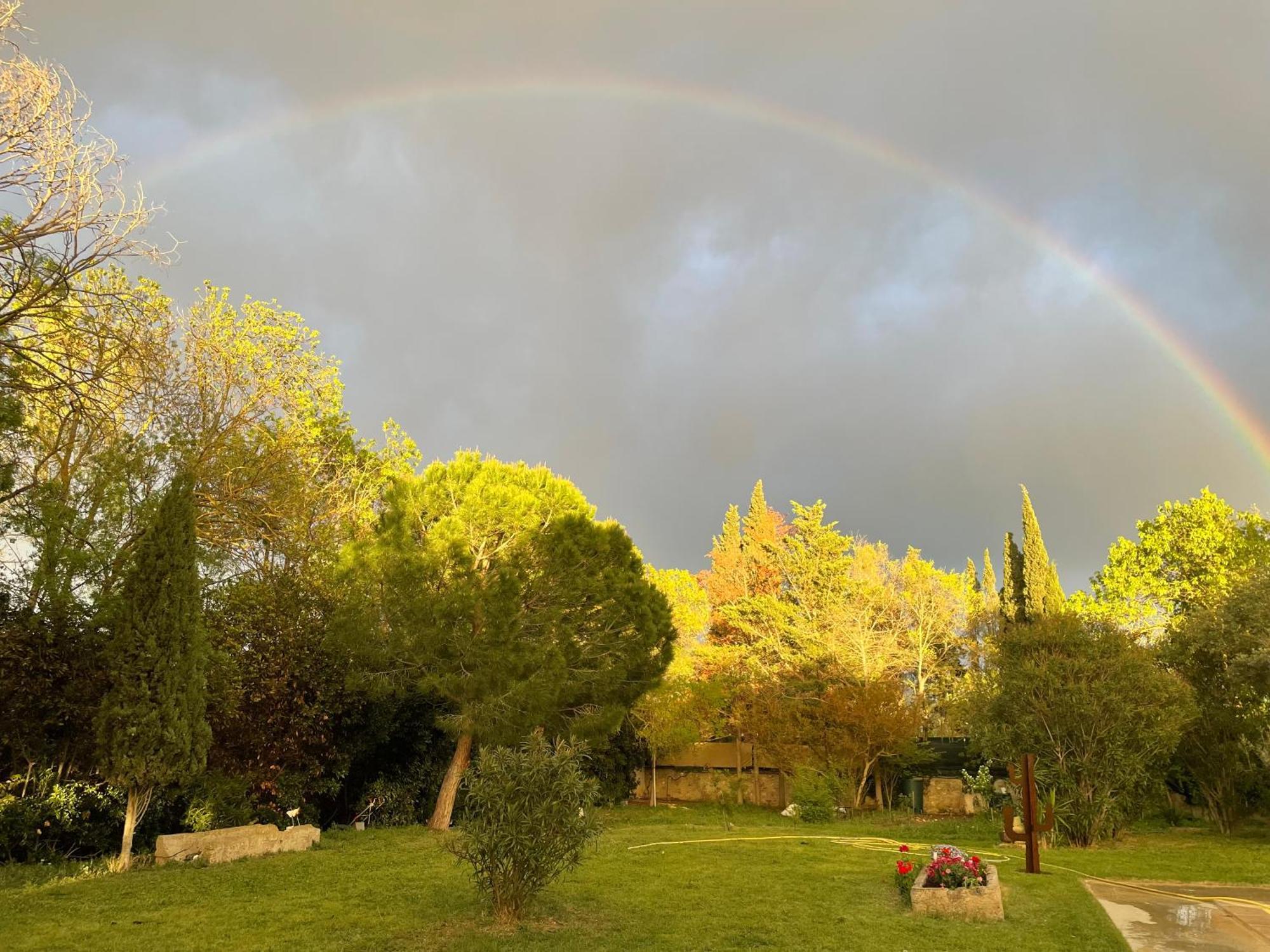 Le Jardin De Lacoste Narbona Zewnętrze zdjęcie