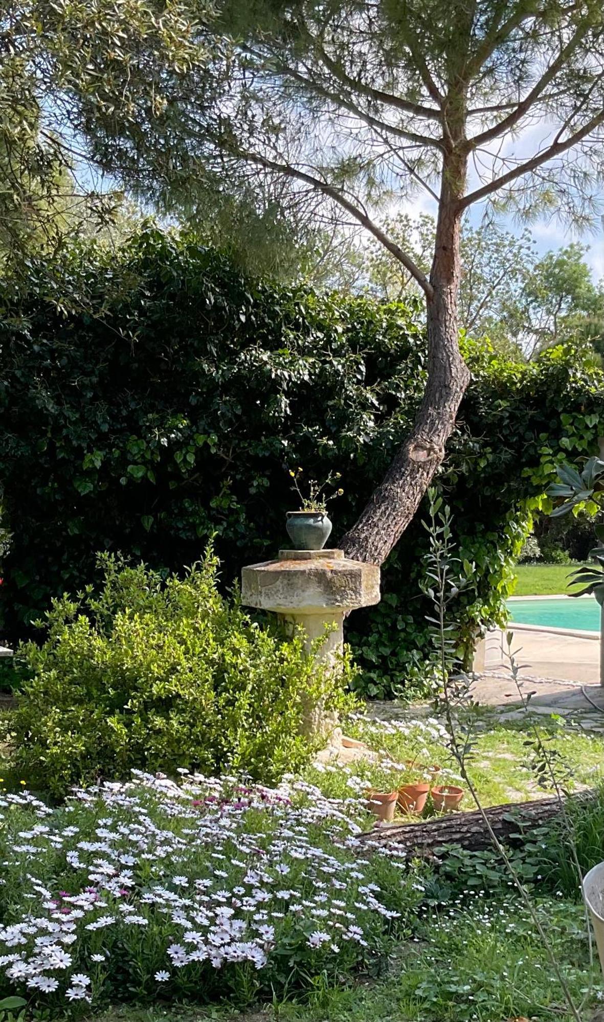 Le Jardin De Lacoste Narbona Zewnętrze zdjęcie